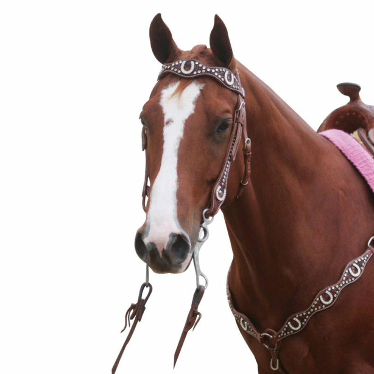 Bridles, Reins and Accessories